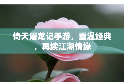 倚天屠龙记手游，重温经典，再续江湖情缘