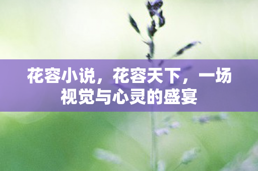 花容小说，花容天下，一场视觉与心灵的盛宴