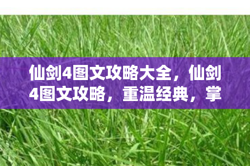仙剑4图文攻略大全，仙剑4图文攻略，重温经典，掌握通关秘籍