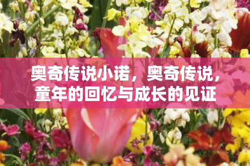 奥奇传说小诺,奥奇传说,童年的回忆与成长的见证 奥奇传说小诺,奥奇传说,童年的回忆与成长的见证