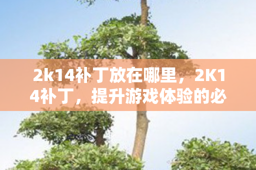 2k14补丁放在哪里，2K14补丁，提升游戏体验的必备利器