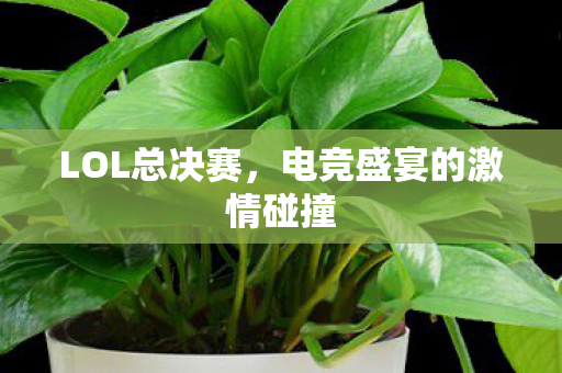 LOL总决赛，电竞盛宴的激情碰撞