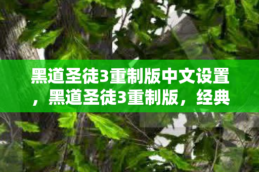 黑道圣徒3重制版中文设置,黑道圣徒3重制版,经典重燃,中文魅力再续 黑道圣徒3重制版中文设置,黑道圣徒3重制版,经典重燃,中文魅力再续