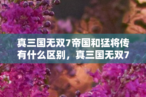 真三国无双7帝国和猛将传有什么区别，真三国无双7，帝国——重塑历史，再战沙场