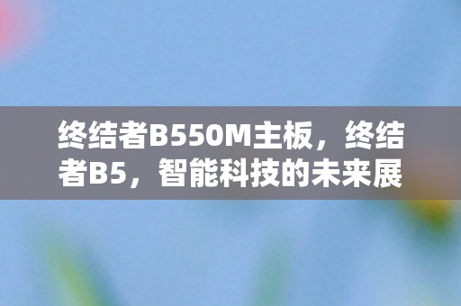 终结者B550M主板,终结者B5,智能科技的未来展望 终结者B550M主板,终结者B5,智能科技的未来展望