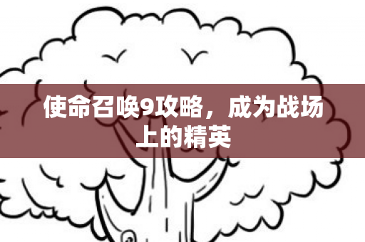 使命召唤9攻略，成为战场上的精英