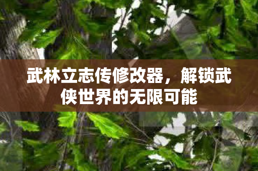 武林立志传修改器，解锁武侠世界的无限可能