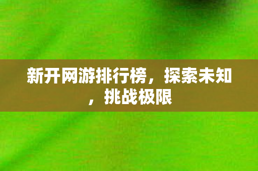 新开网游排行榜，探索未知，挑战极限
