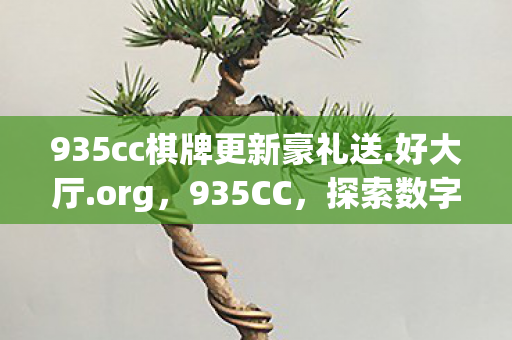 935cc棋牌更新豪礼送.好大厅.org，935CC，探索数字时代的创新密码