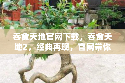 吞食天地官网下载，吞食天地2，经典再现，官网带你重温传奇