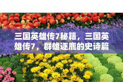 三国英雄传7秘籍，三国英雄传7，群雄逐鹿的史诗篇章