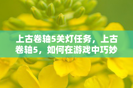 上古卷轴5关灯任务，上古卷轴5，如何在游戏中巧妙关灯
