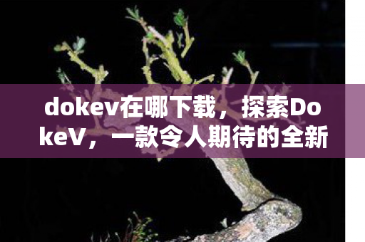 dokev在哪下载，探索DokeV，一款令人期待的全新VR游戏