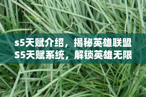 s5天赋介绍，揭秘英雄联盟S5天赋系统，解锁英雄无限可能