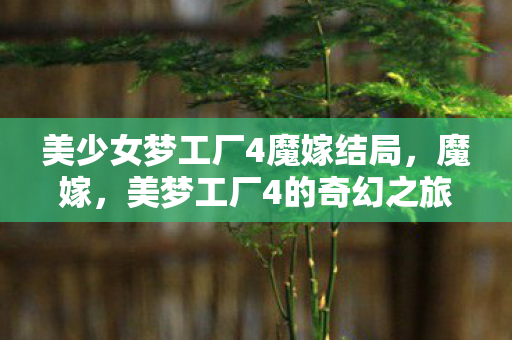 美少女梦工厂4魔嫁结局,魔嫁,美梦工厂4的奇幻之旅 美少女梦工厂4魔嫁结局,魔嫁,美梦工厂4的奇幻之旅