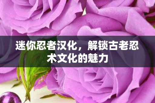 迷你忍者汉化，解锁古老忍术文化的魅力