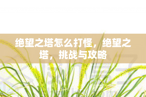 绝望之塔怎么打怪,绝望之塔,挑战与攻略 绝望之塔怎么打怪,绝望之塔,挑战与攻略