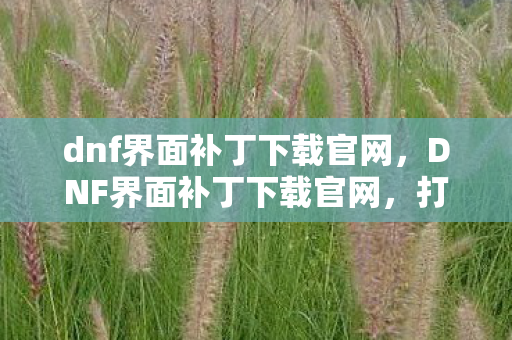 dnf界面补丁下载官网，DNF界面补丁下载官网，打造个性化游戏体验