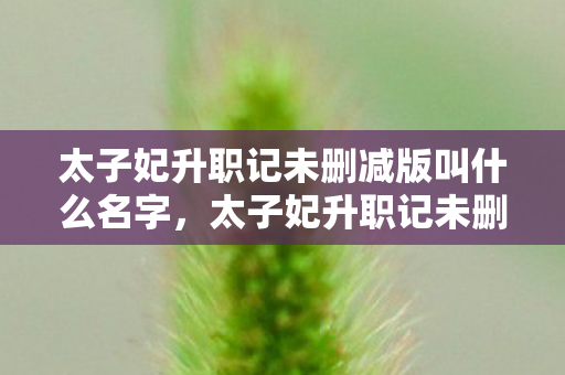 太子妃升职记未删减版叫什么名字,太子妃升职记未删减版,一段跨越时空的浪漫传奇 太子妃升职记未删减版叫什么名字,太子妃升职记未删减版,一段跨越时空的浪漫传奇