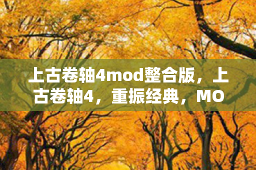 上古卷轴4mod整合版,上古卷轴4,重振经典,MOD打造无限可能 上古卷轴4mod整合版,上古卷轴4,重振经典,MOD打造无限可能