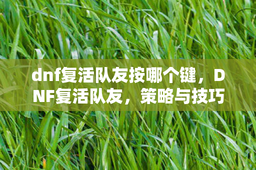 dnf复活队友按哪个键,DNF复活队友,策略与技巧解析 dnf复活队友按哪个键,DNF复活队友,策略与技巧解析