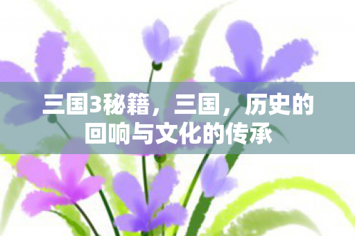三国3秘籍,三国,历史的回响与文化的传承 三国3秘籍,三国,历史的回响与文化的传承