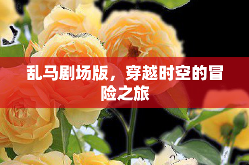 乱马剧场版,穿越时空的冒险之旅 乱马剧场版,穿越时空的冒险之旅