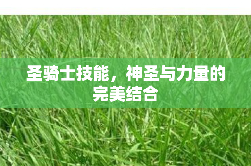 圣骑士技能，神圣与力量的完美结合