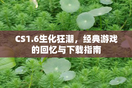 CS1.6生化狂潮，经典游戏的回忆与下载指南