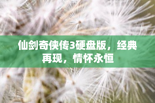 仙剑奇侠传3硬盘版，经典再现，情怀永恒