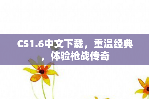 CS1.6中文下载，重温经典，体验枪战传奇