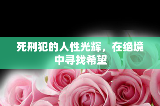 死刑犯的人性光辉，在绝境中寻找希望