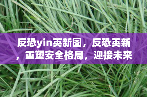 反恐yin英新图,反恐英新,重塑安全格局,迎接未来挑战 反恐yin英新图,反恐英新,重塑安全格局,迎接未来挑战
