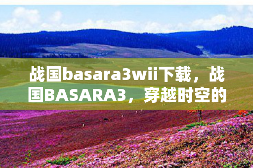 战国basara3wii下载，战国BASARA3，穿越时空的战国乱斗
