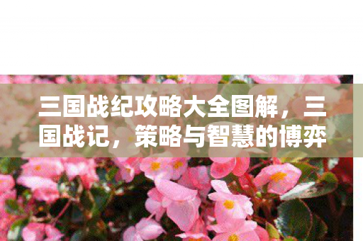 三国战纪攻略大全图解,三国战记,策略与智慧的博弈 三国战纪攻略大全图解,三国战记,策略与智慧的博弈