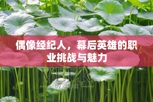 偶像经纪人，幕后英雄的职业挑战与魅力