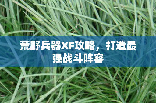 荒野兵器XF攻略，打造最强战斗阵容