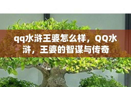 qq水浒王婆怎么样，QQ水浒，王婆的智谋与传奇