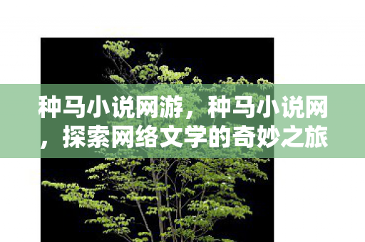 种马小说网游，种马小说网，探索网络文学的奇妙之旅