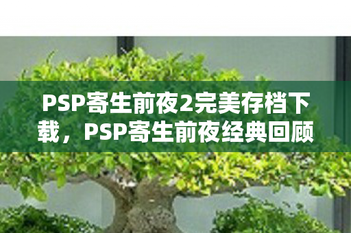 PSP寄生前夜2完美存档下载，PSP寄生前夜经典回顾，恐怖与生存的交织篇章