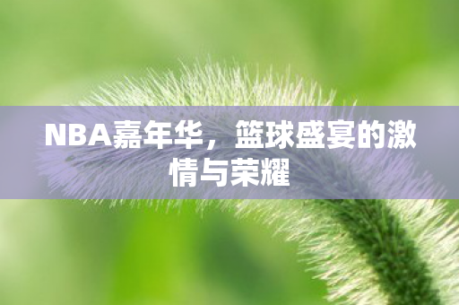 NBA嘉年华，篮球盛宴的激情与荣耀