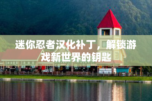 迷你忍者汉化补丁，解锁游戏新世界的钥匙