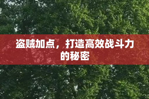 盗贼加点，打造高效战斗力的秘密
