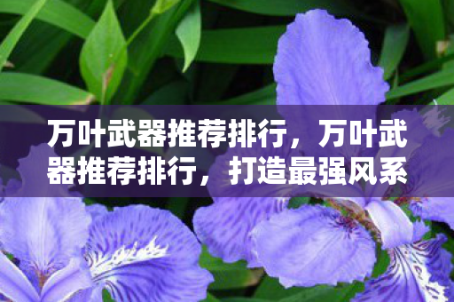 万叶武器推荐排行，万叶武器推荐排行，打造最强风系角色