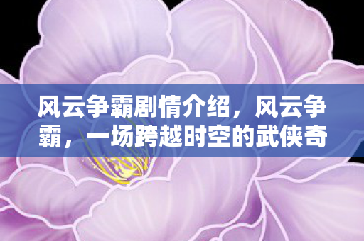 风云争霸剧情介绍，风云争霸，一场跨越时空的武侠奇缘