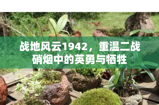 战地风云1942，重温二战硝烟中的英勇与牺牲