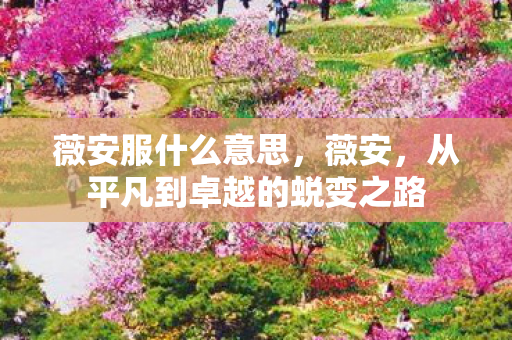 薇安服什么意思，薇安，从平凡到卓越的蜕变之路