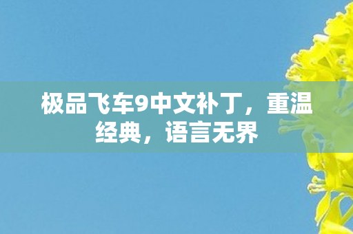 极品飞车9中文补丁，重温经典，语言无界
