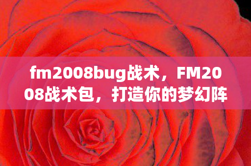 fm2008bug战术，FM2008战术包，打造你的梦幻阵容