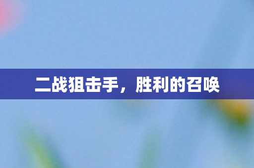 二战狙击手，胜利的召唤